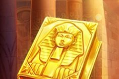 Играть в Book of Gold: Double Chance