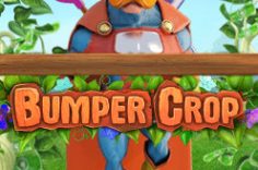 Играть в Bumper Crop