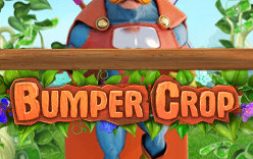 Play Bumper Crop