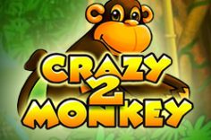 Играть в Crazy Monkey 2