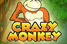 Играть в Crazy Monkey