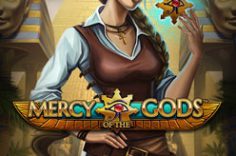 Играть в Mercy of the Gods