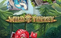 Play Wild Turkey